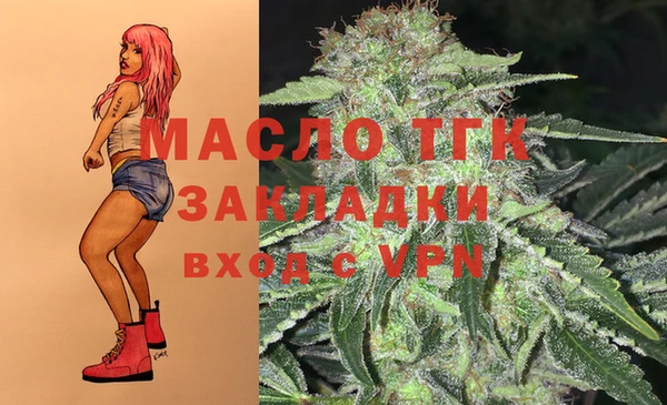 2c-b Богородицк